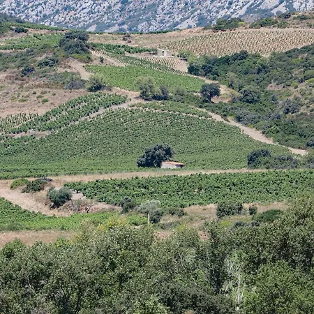 Les Hirondelles * Caudies-de-Fenouilledes
