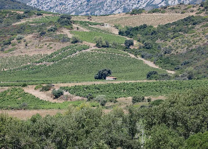 Les Hirondelles * Caudies-de-Fenouilledes