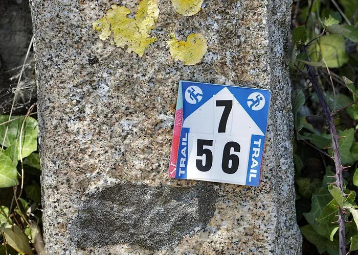 Les Hirondelles *